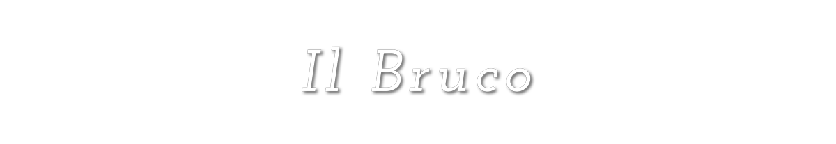 selvoli-logo-bruco-it